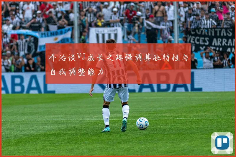 乔治谈VJ成长之路强调其独特性与自我调整能力